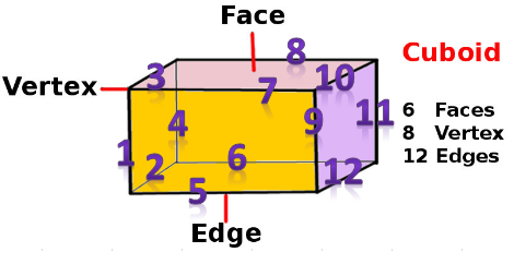 Big-Ideas-Math-Book-1st-Grade-Answer-Key-Chapter-13-Two-and-Three-Dimensional-Shapes-114
