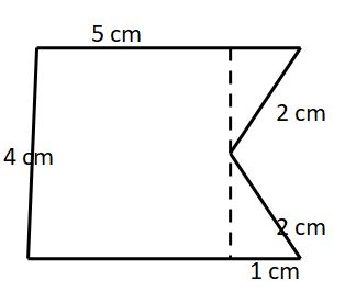 Convex and Concave Polygons 4