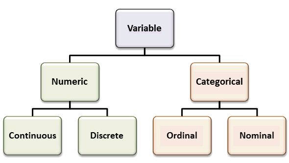 statistical variable types classification