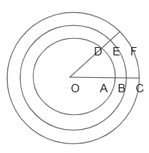 circular system 1