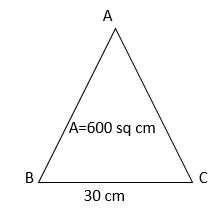 worksheet on area and perimeter of triangle example 3